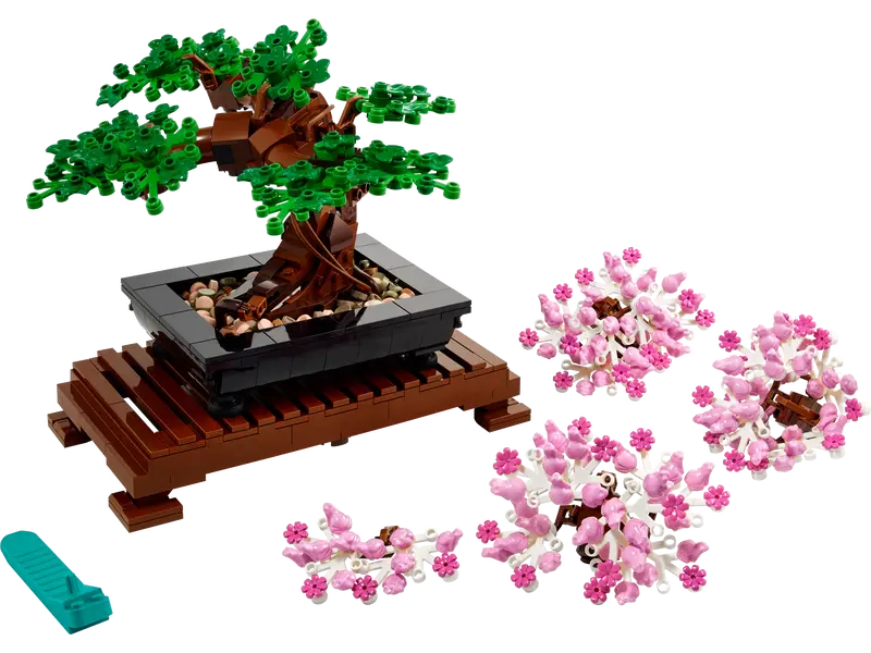 Bonsai Tree - 10281 - Image 3