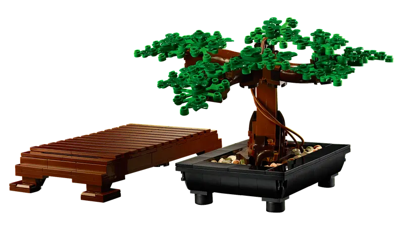 Bonsai Tree - 10281 - Image 4
