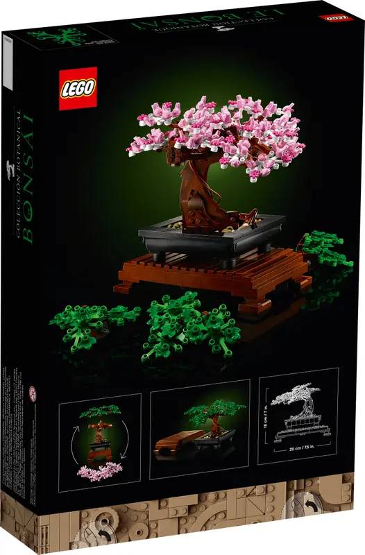 Bonsai Tree - 10281 - Image 5