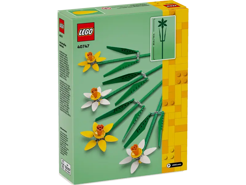 Daffodils - 40747 - Image 3