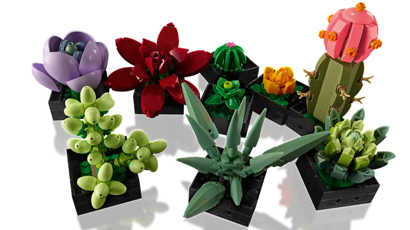 Succulents - 10309 - Image 3